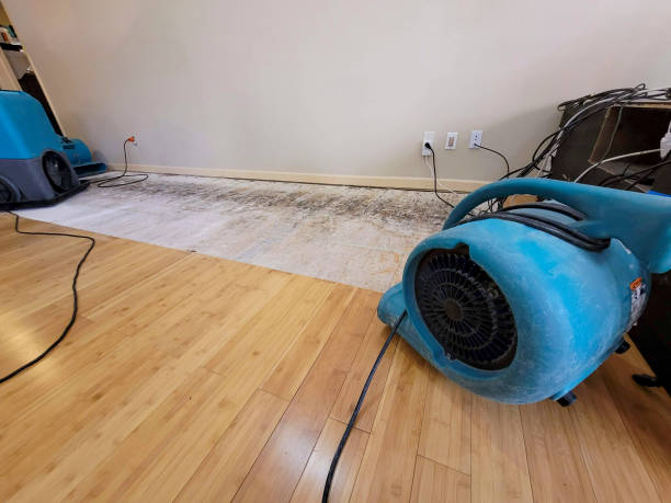 Professional Structural Drying technician working in Graham, NC
